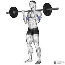 Bicep Curl