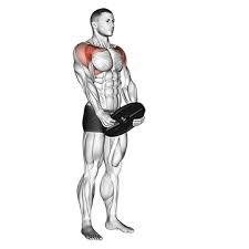 Front Raise