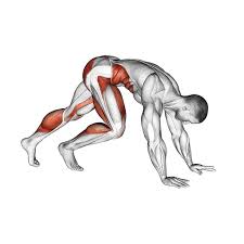 Mountain Climbers