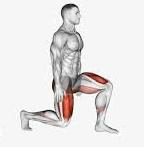 Lunges